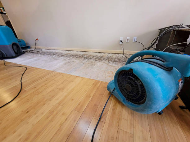 Professional Structural Drying technician working in Colfax, NC